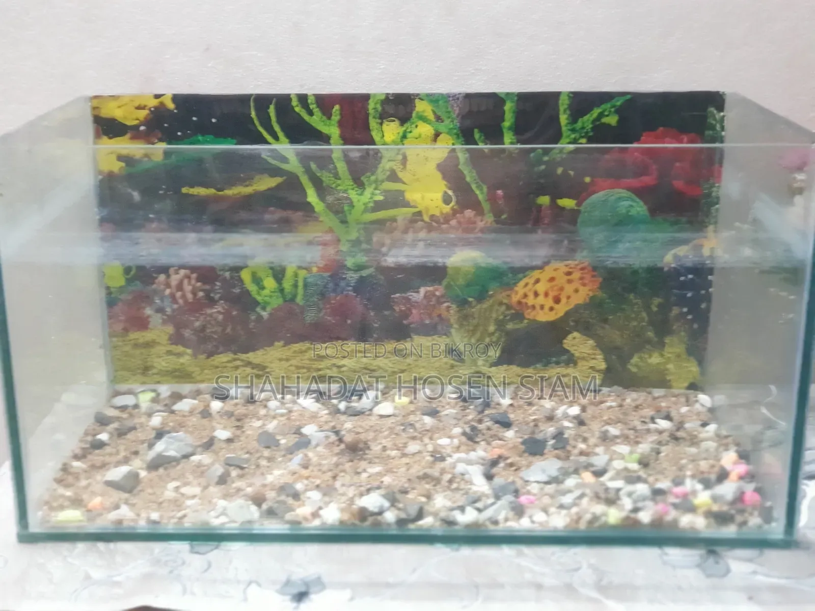Aquarium + Water Heater + Water Filter