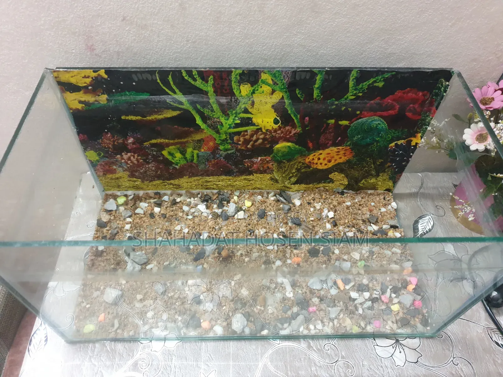 Aquarium + Water Heater + Water Filter