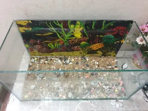 Aquarium + Water Heater + Water Filter