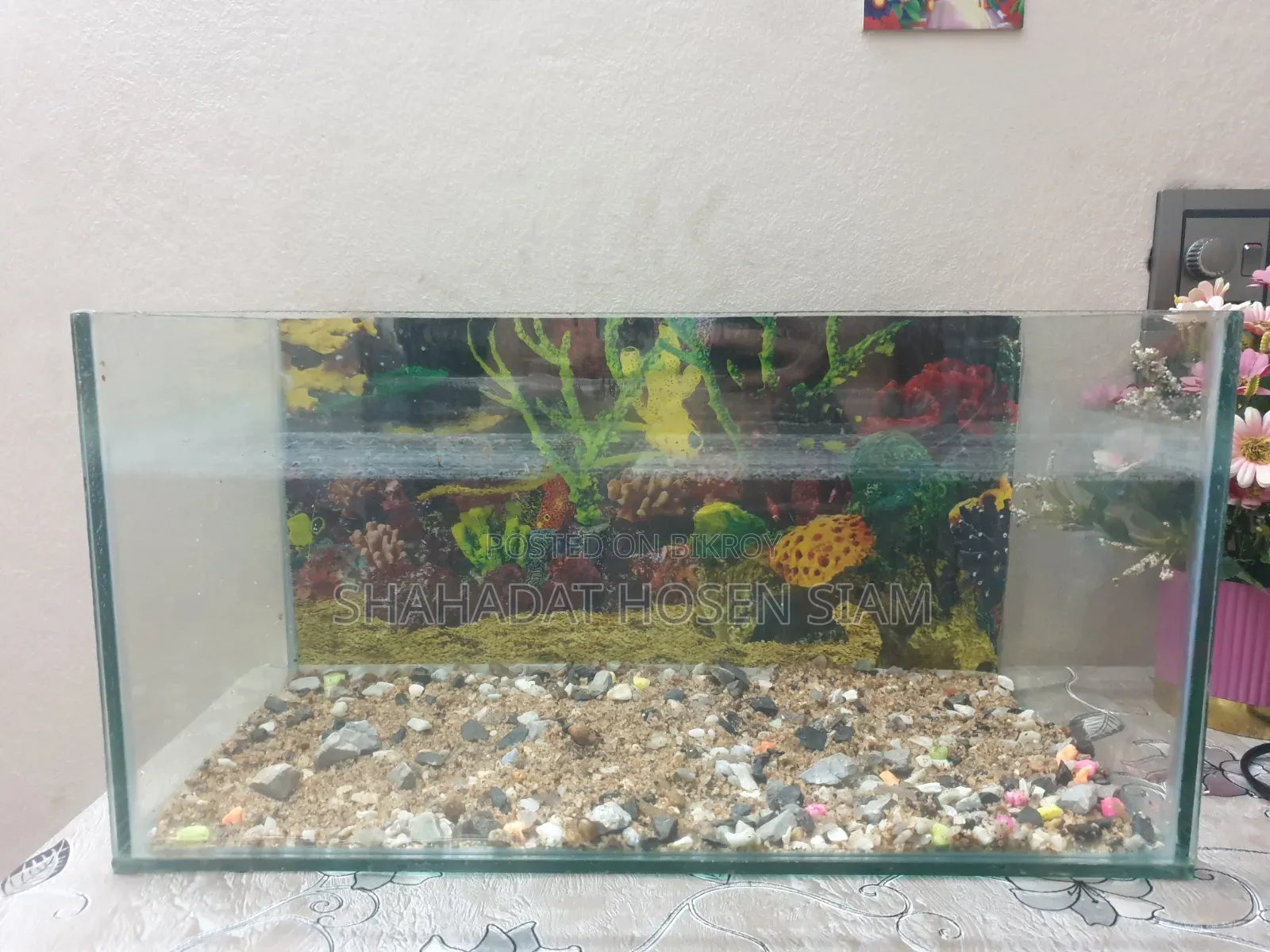 Aquarium + Water Heater + Water Filter