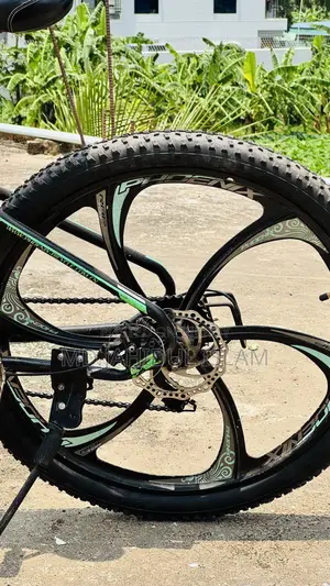 Phoenix Raptor Gear Cycle