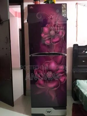 ব্যবহৃত ফ্রিজ