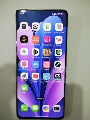 Xiaomi 13 Ultra (China) 512 GB Green