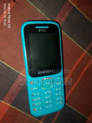 স্যামসাং বি৩১০ ব্লু