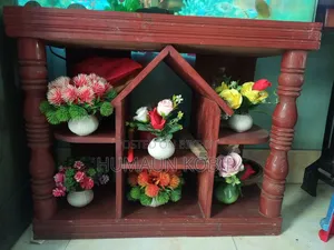 একুরিয়াম সেটাপ