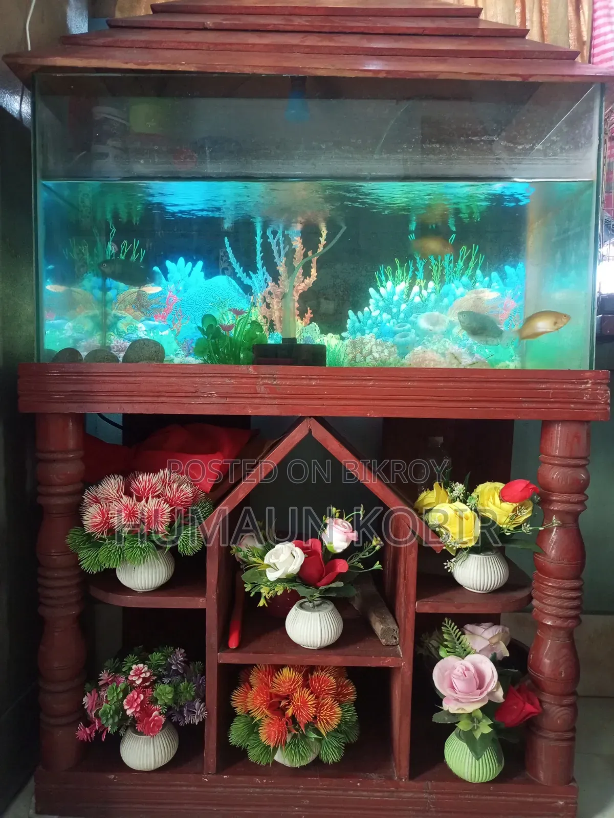 একুরিয়াম সেটাপ