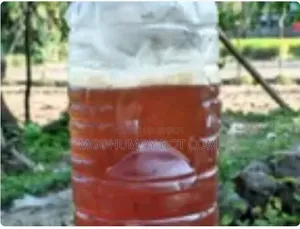 গ্রামের প্রাকৃতিক চাকের মধু