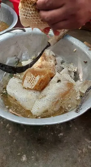 গ্রামের প্রাকৃতিক চাকের মধু