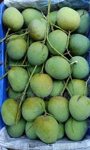 Satkhira's Sweet Himsagar Mango