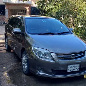Toyota Axio 2010 Gray