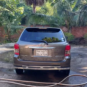 Toyota Axio 2010 Gray