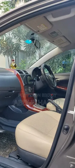 Toyota Axio 2010 Gray