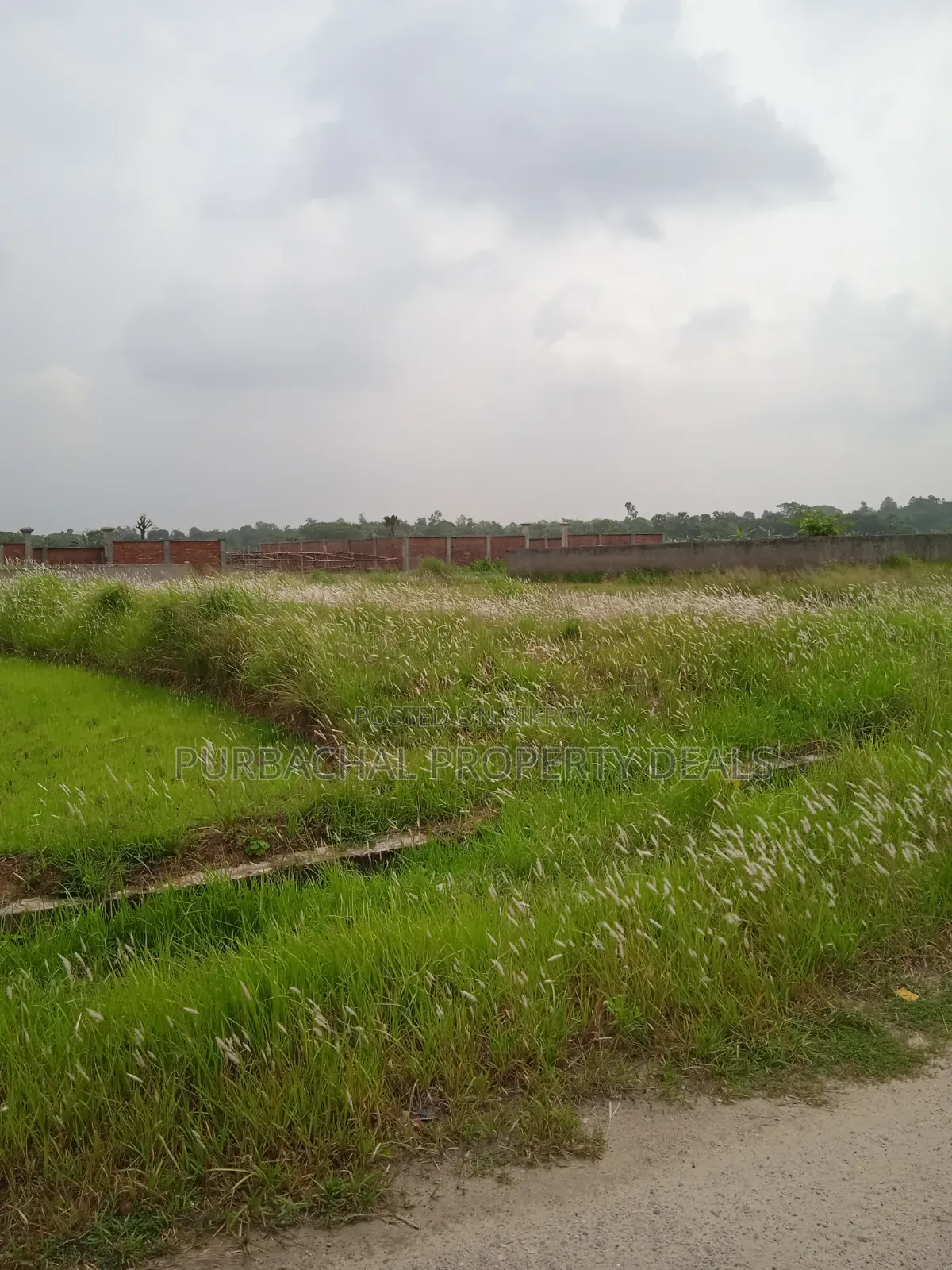 বসুন্ধরা আবাসিক এলাকায় দক্ষিণমুখী লেক ভিউ ৫ কাঠার প্লট বিক্রয়