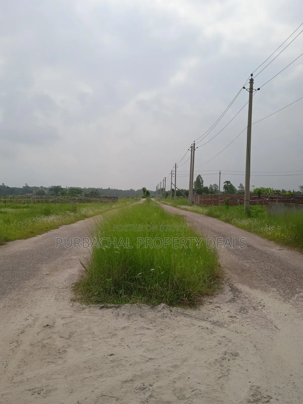 বসুন্ধরা আবাসিক এলাকায় দক্ষিণমুখী লেক ভিউ ৫ কাঠার প্লট বিক্রয়