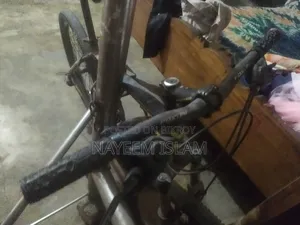 Used bicycle.