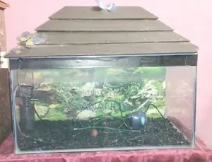 Aquarium 2.5 feet