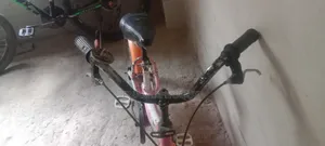 Bicycle for Kids