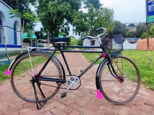 Phoenix 28" Bicycle | New Front Basket & Mudguard | Fully Serviced