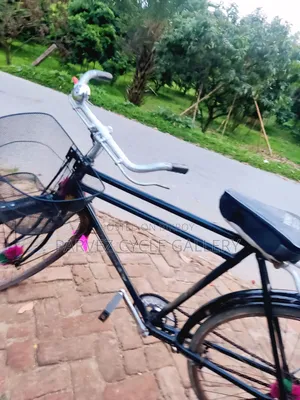 Phoenix 28" Bicycle | New Front Basket & Mudguard | Fully Serviced