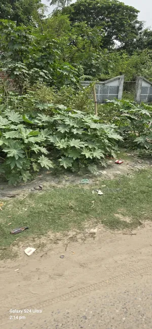 Rajuk Uttara 3rd Phase 60' Wide Road Plot