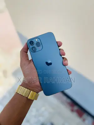 অ্যাপল আইফোন ১২ প্রো ম্যাক্স ২৫৬ জিবি নীল