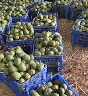 হিমসাগর আম