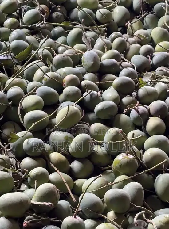 হিমসাগর আম