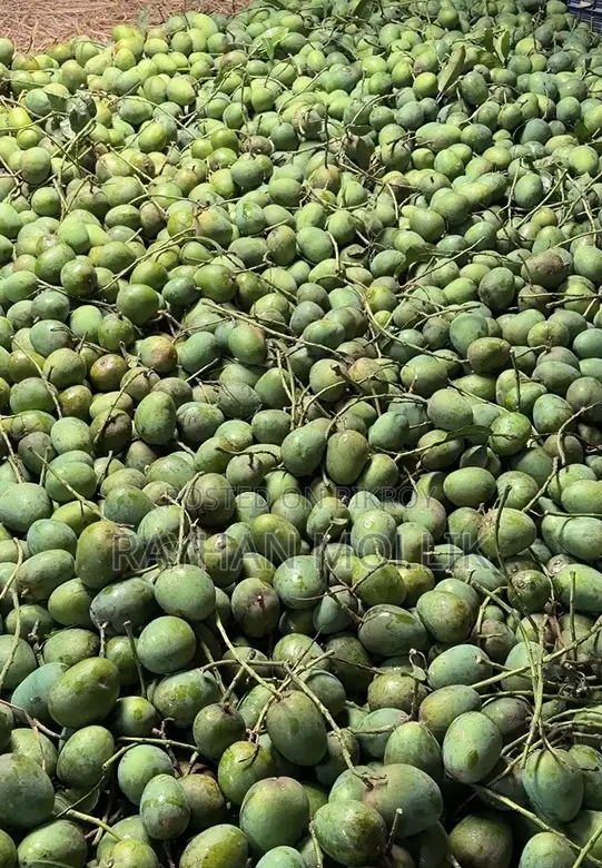 হিমসাগর আম