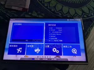 Skyworth TV