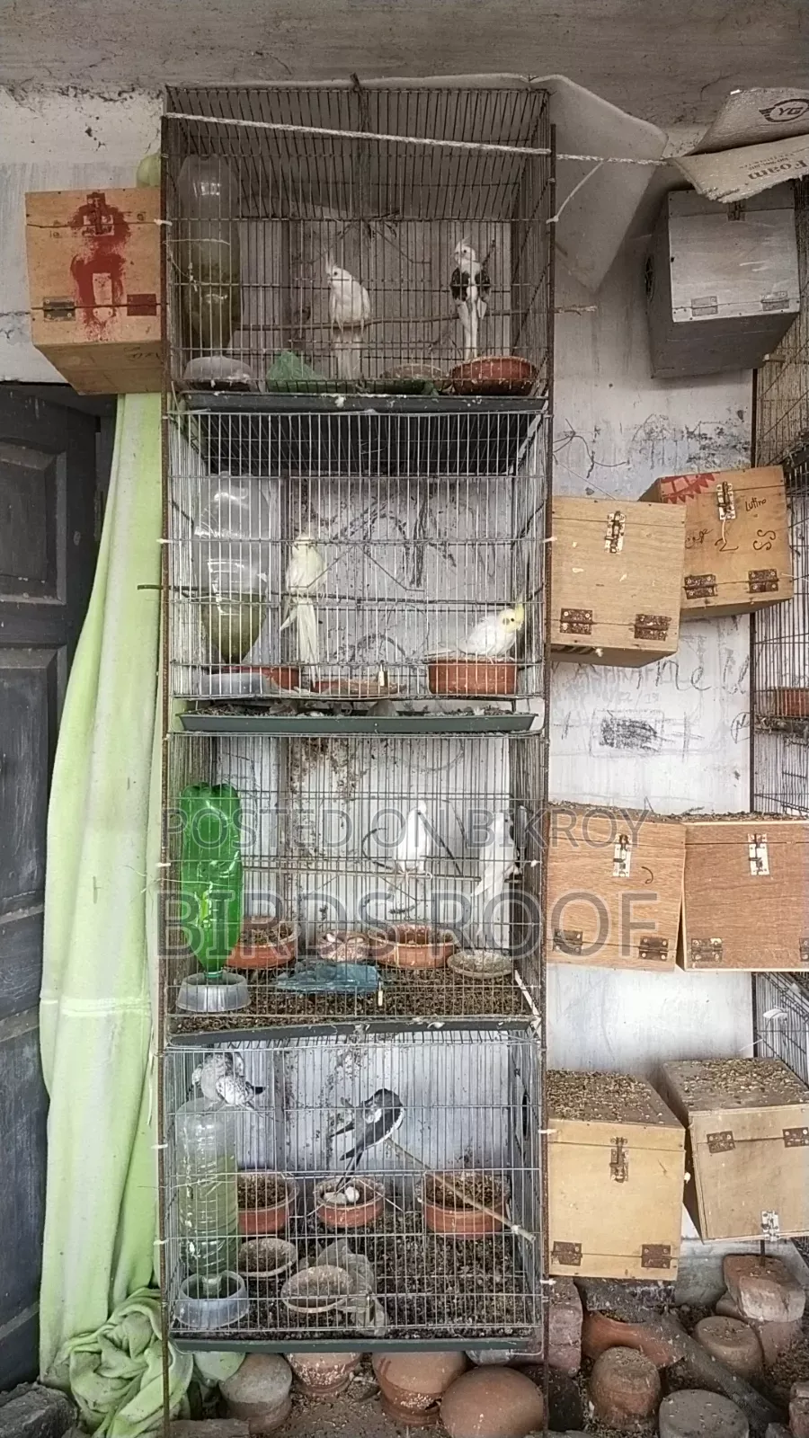 Entire farm for sale at a low price