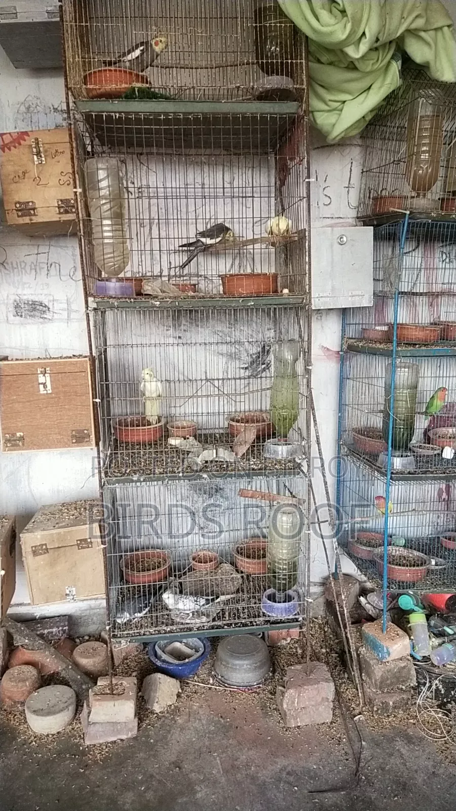 Entire farm for sale at a low price