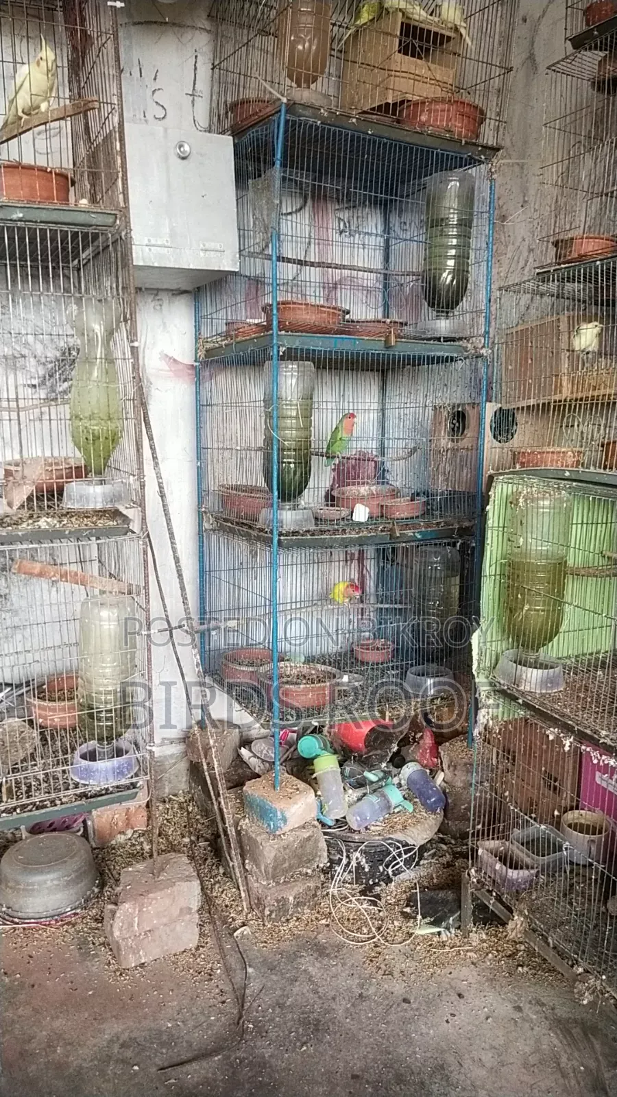 Entire farm for sale at a low price