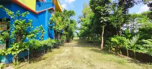 Exclusive 5 Katha Ready Plot for Sale at Tribhuban Dreamland City