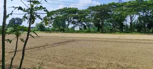 Exclusive 5 Katha Ready Plot for Sale at Tribhuban Dreamland City