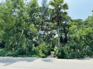 Land for sale beside Majuchowdhuryhat main road.