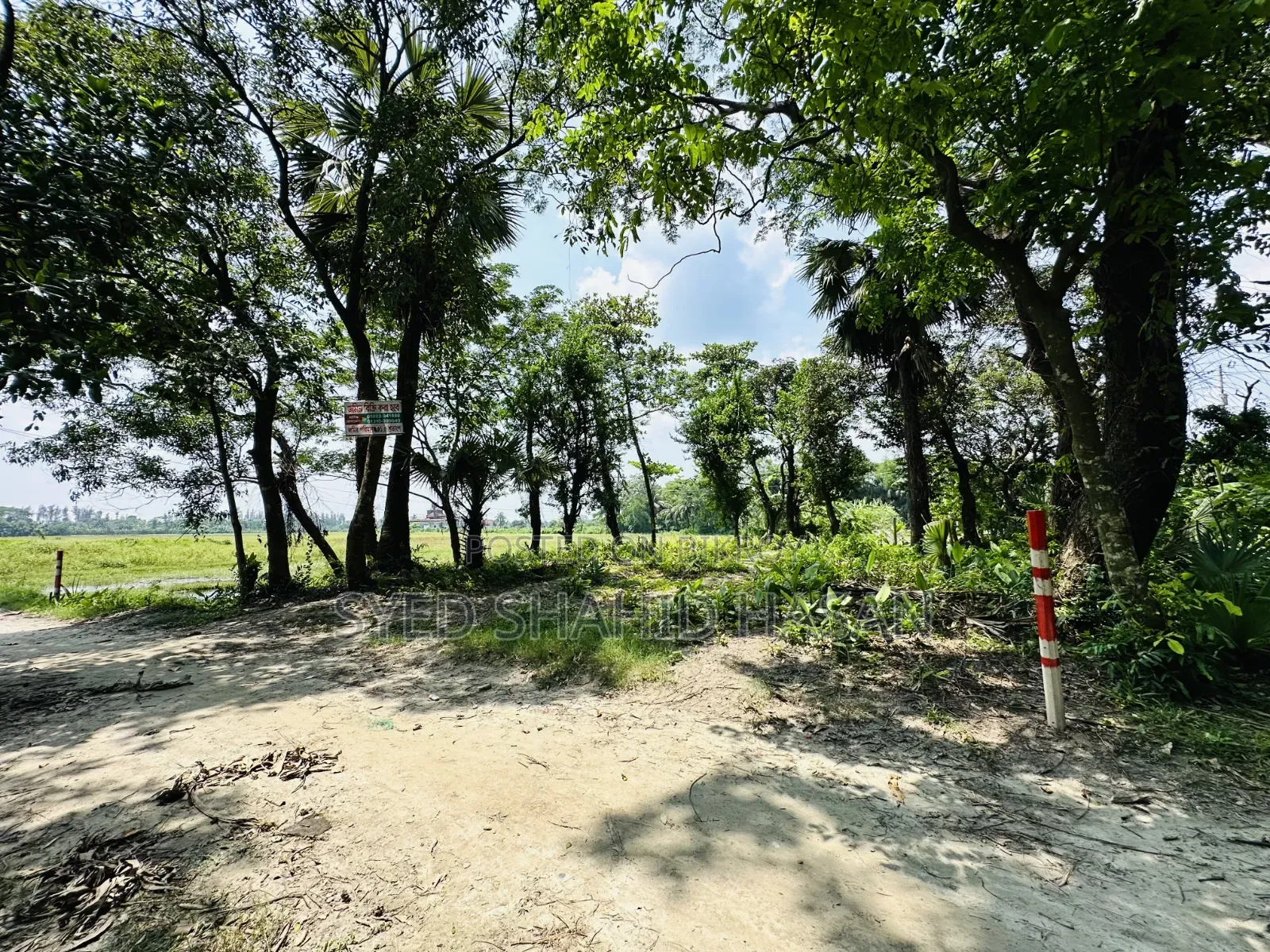 Land for sale beside Majuchowdhuryhat main road.