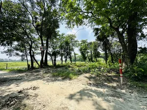 Land for sale beside Majuchowdhuryhat main road.