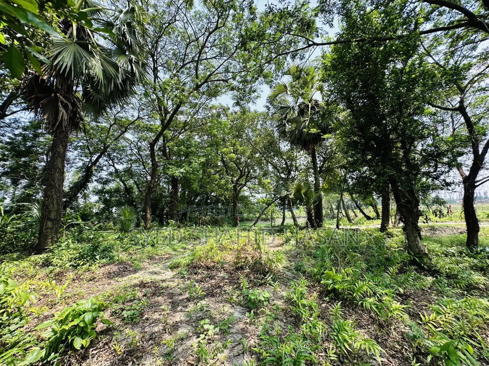 Land for sale beside Majuchowdhuryhat main road.