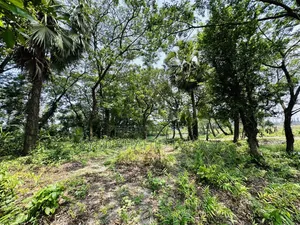 Land for sale beside Majuchowdhuryhat main road.