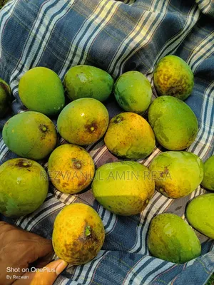Himsagar Mango