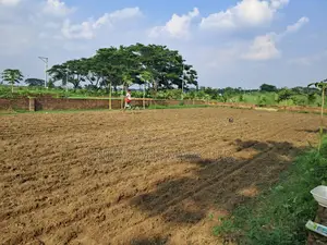 ত্রিভুবন ড্রিমল্যান্ড সিটিতে বিক্রয়ের জন্য ২০ কাঠার কমার্শিয়াল মেগা প্লট