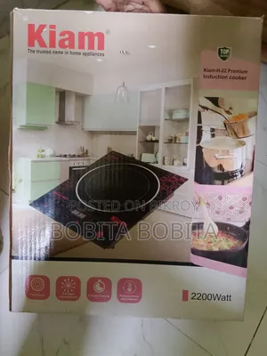 ইনডাকশন চুলা