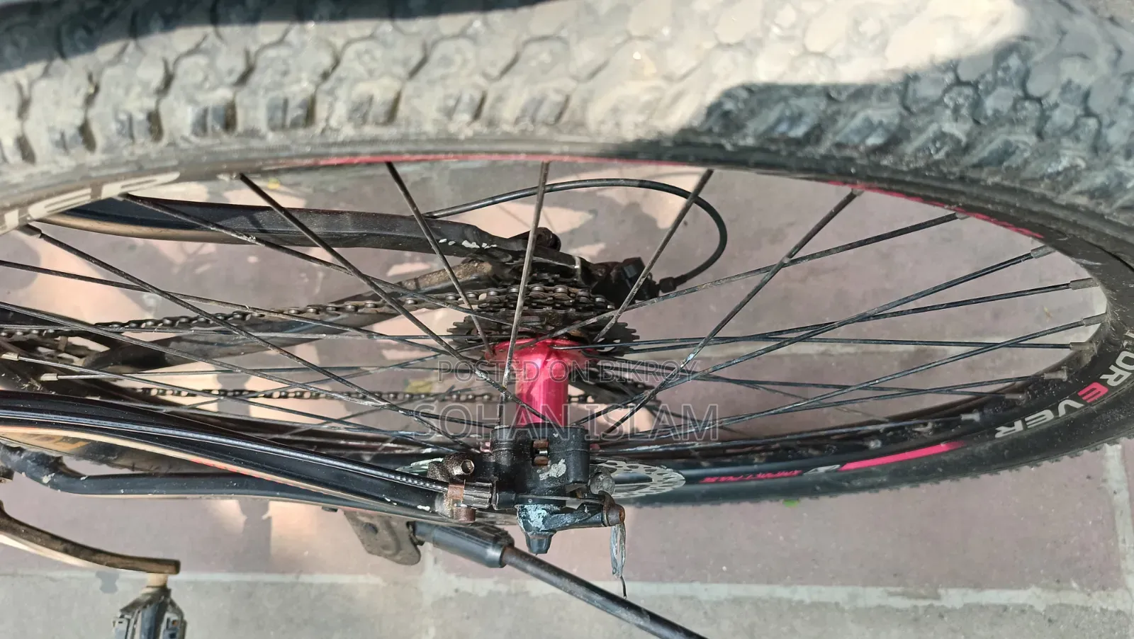 Bicycle full body is fresh.