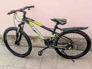 Phoenix Bycycle