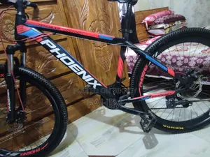 ফিনিক্স সাইকেল বিক্রয় হবে