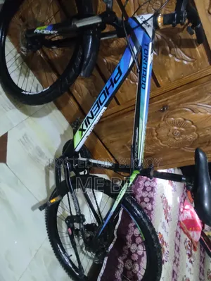 ফিনিক্স বিক্রয়ের জন্য