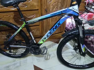 ফিনিক্স বিক্রয়ের জন্য