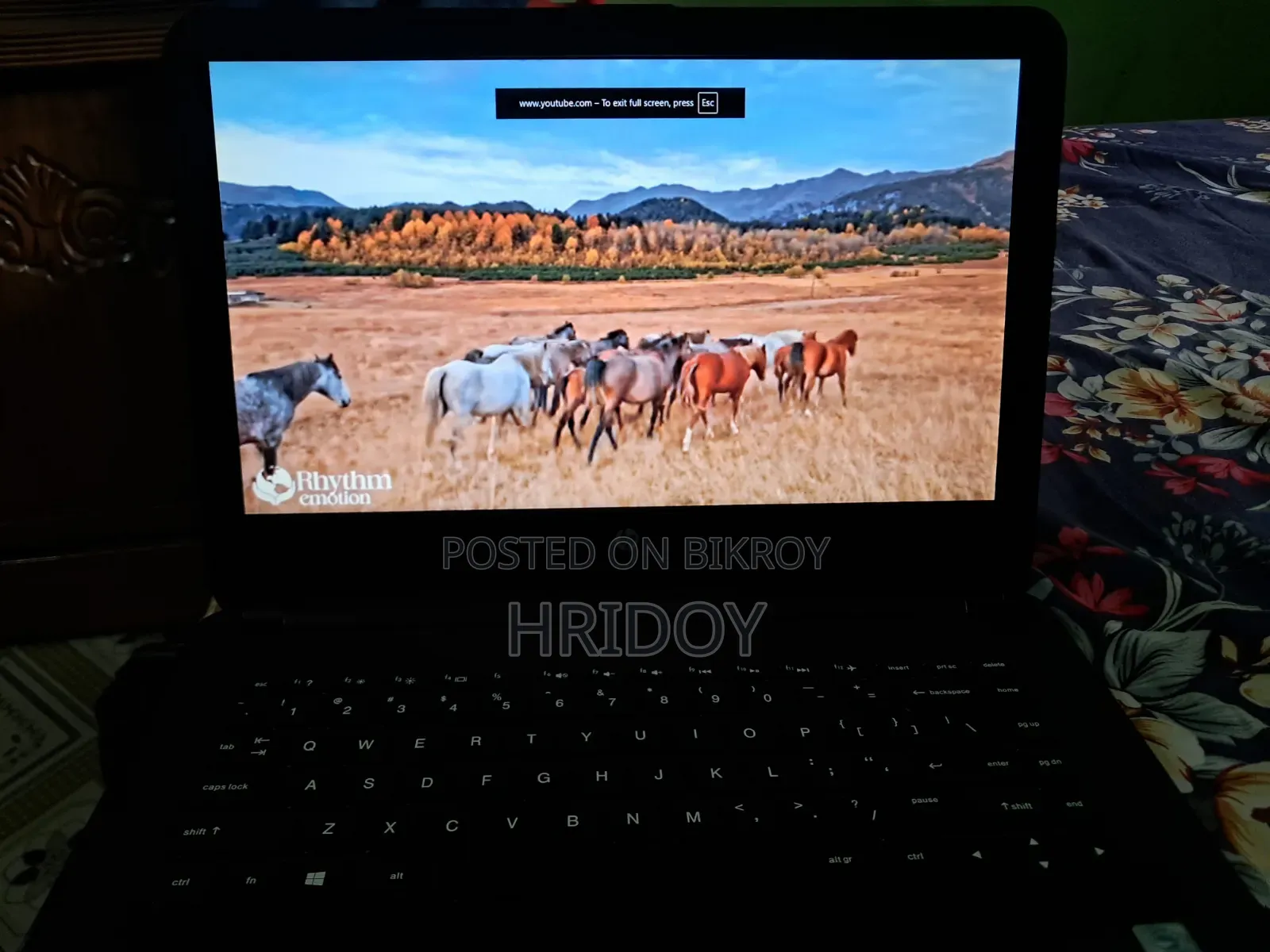 Laptop HP 14S 8GB Intel Core I3 SSD 128GB