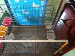 Cage for Pigeons, Chickens, Birds