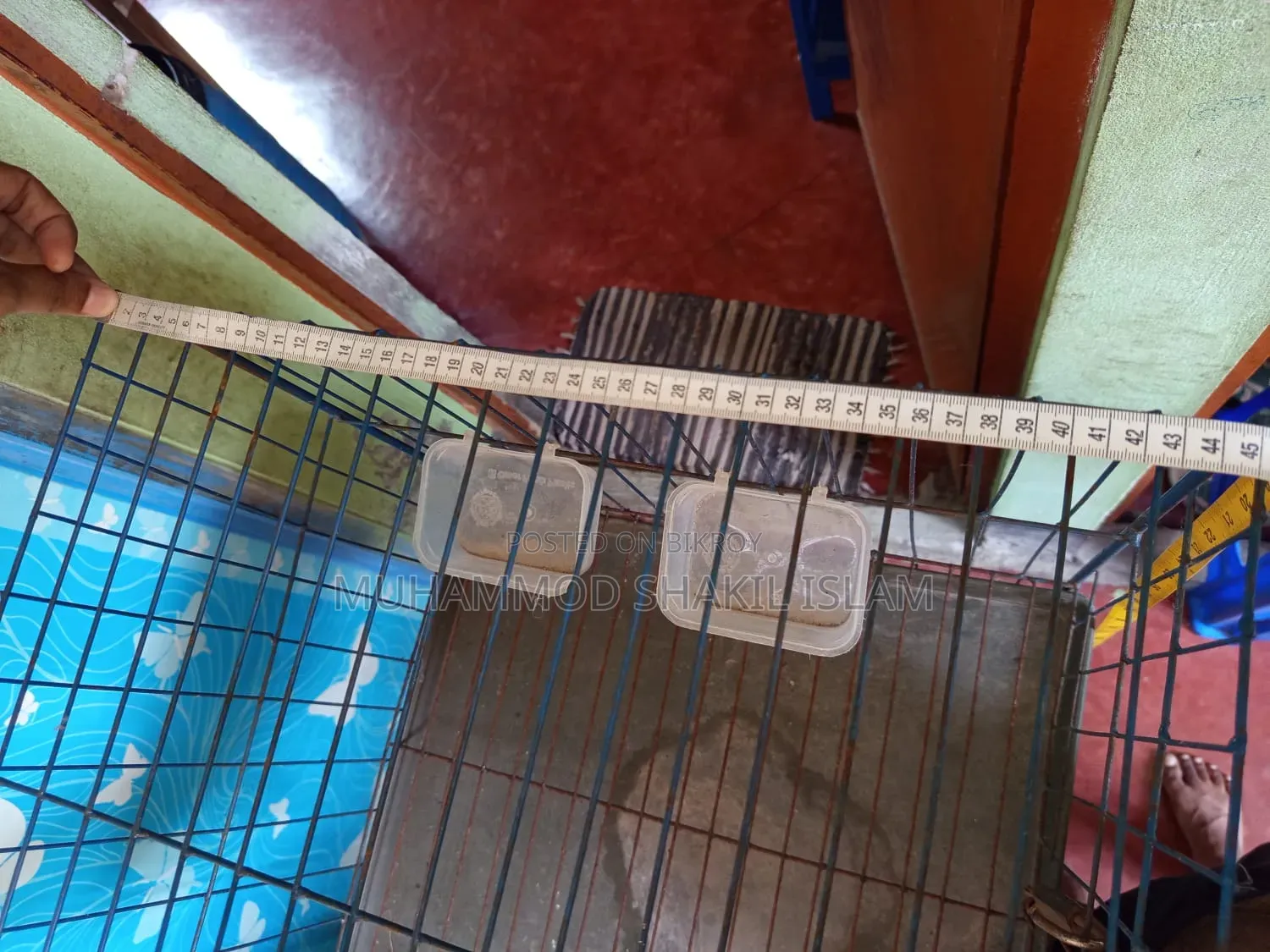 Cage for Pigeons, Chickens, Birds